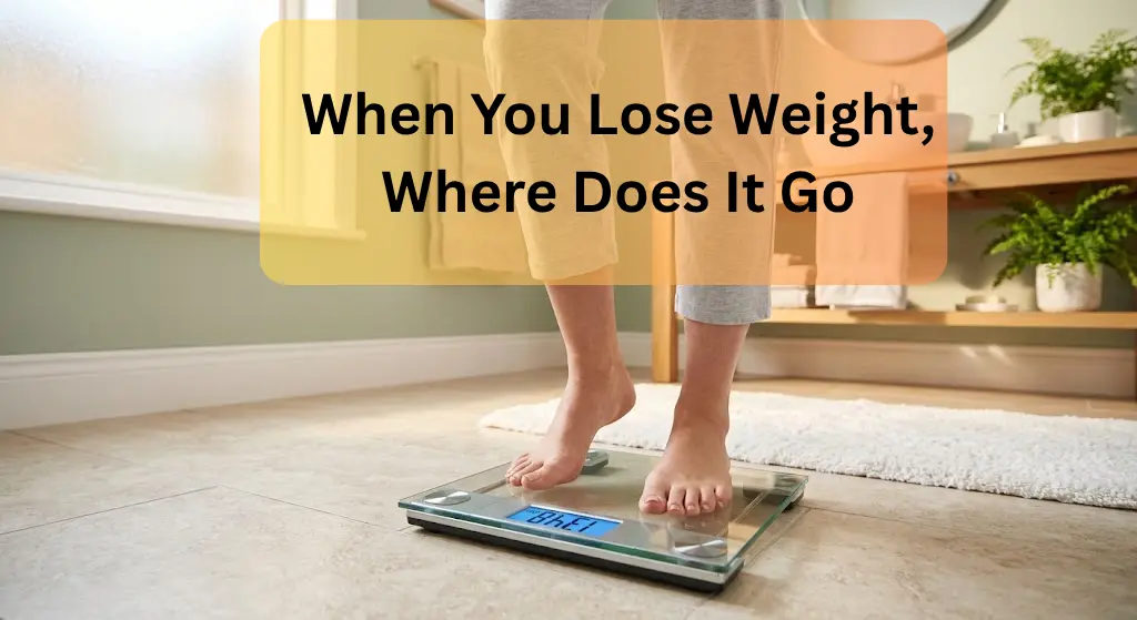When You Lose Weight, Where Does It Go